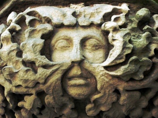 Daily Images | Green Man