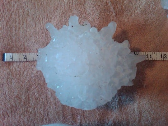 Daily Images | Largest Hailstone