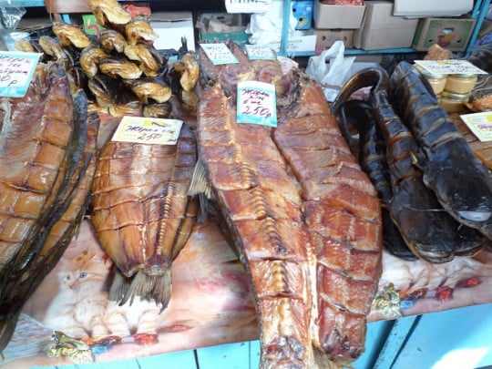 Daily Images | Smoked Sturgeon