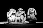 K5 v Akfinans Bank | Silence is the Enemy