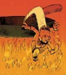 Cyprus Problem - Out of The Frying Pan and Into The Fire