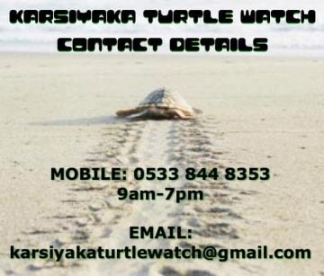 Thank you to Karsiyaka Turtle Watch