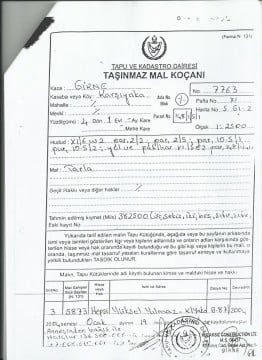Kocan 7763